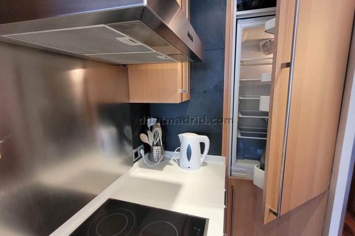 Apartamento Céntrico en Chamberi de 1 Dormitorio #209 en Madrid