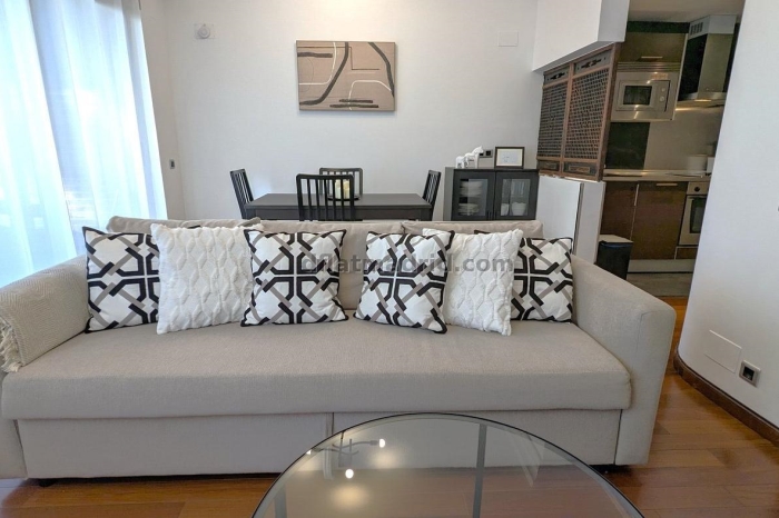 Apartamento exterior cerca de la Castellana con terraza #211 en Madrid