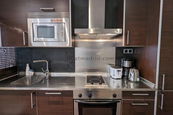 Apartamento exterior cerca de la Castellana con terraza #211 en Madrid