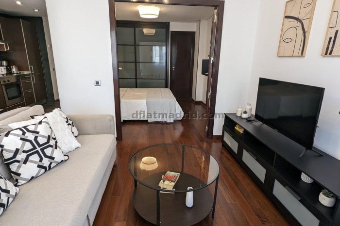 Apartamento Céntrico en Chamberi de 1 Dormitorio con terraza #211 en Madrid