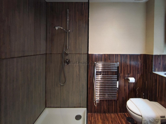 Exterior apartment in Almagro with views #231 in Madrid