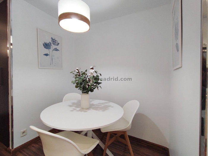 Apartamento Céntrico en Chamberi de 1 Dormitorio #231 en Madrid