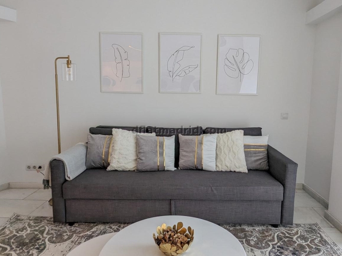 Apartamento Céntrico en Chamberi de 1 Dormitorio #235 en Madrid