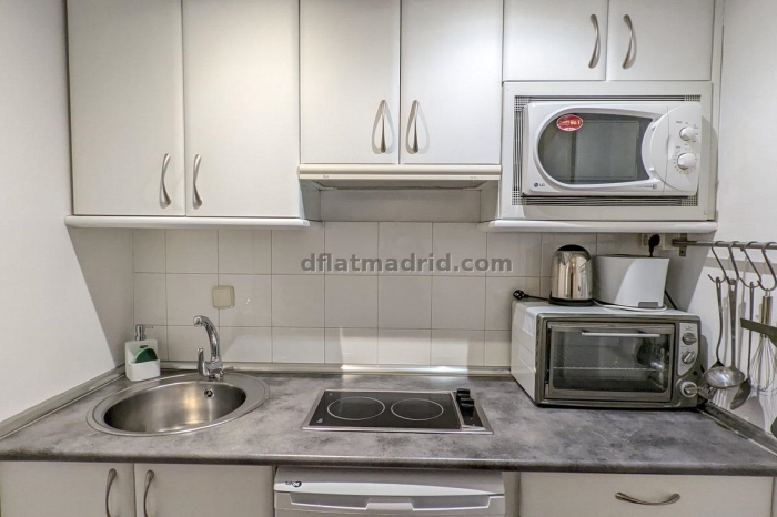 Central Apartment in Chamberi of 1 Bedroom with terrace #238 in Madrid