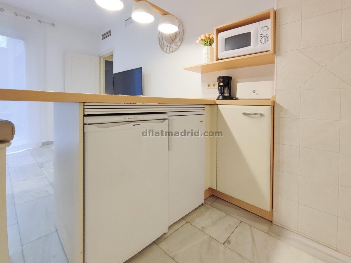 Apartamento Céntrico en Chamberi de 1 Dormitorio con terraza #483 en Madrid