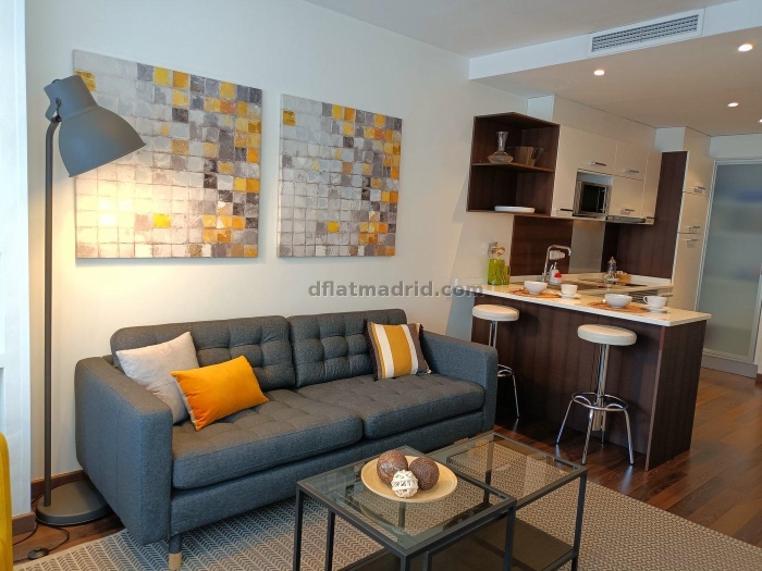 Apartamento Céntrico en Chamberi de 1 Dormitorio #557 en Madrid