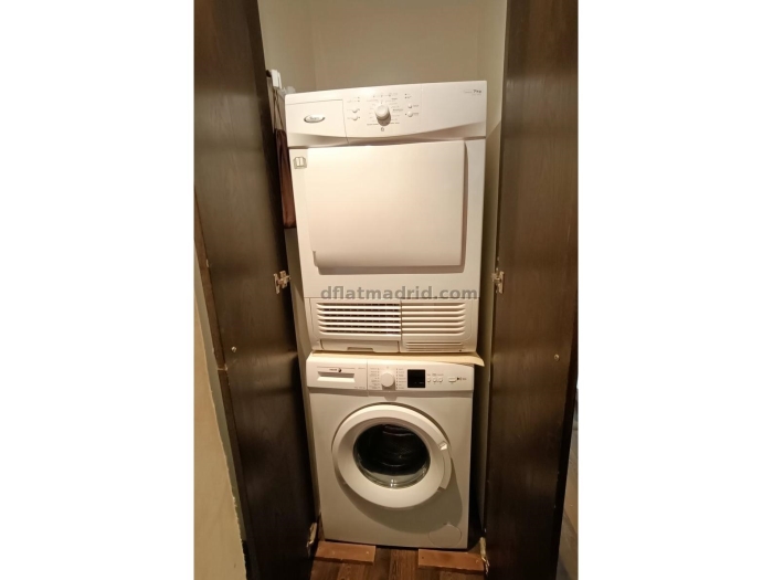 Exterior apartment next to Castellana well communicated #557 in Madrid