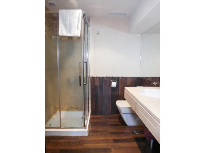 Exterior apartment next to Castellana well communicated #557 in Madrid