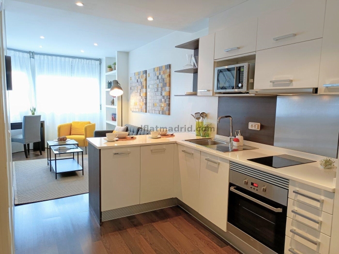 Exterior apartment next to Castellana well communicated #557 in Madrid