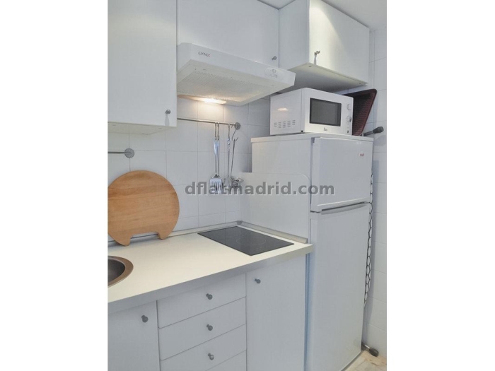 Apartamento Céntrico en Chamberi de 1 Dormitorio con terraza #1749 en Madrid