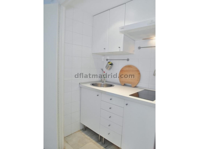 Apartamento Céntrico en Chamberi de 1 Dormitorio con terraza #1749 en Madrid