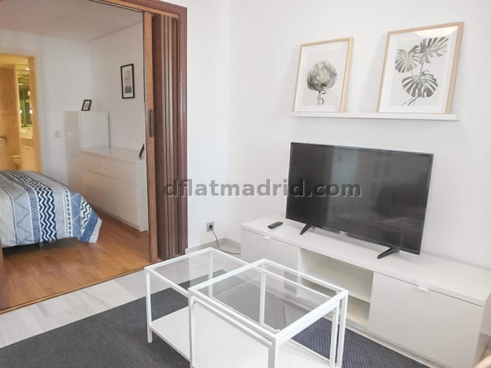 Apartamento Céntrico en Chamberi de 1 Dormitorio con terraza #1749 en Madrid