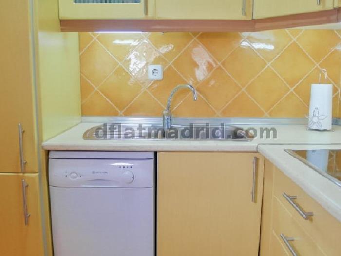 Central Apartment in Salamanca of 1 Bedroom #84 in Madrid