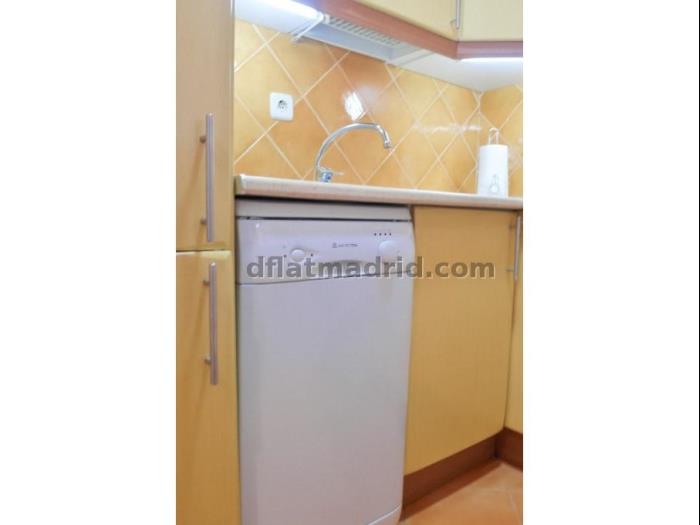 Central Apartment in Salamanca of 1 Bedroom #84 in Madrid