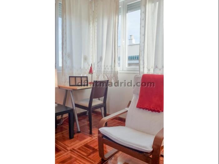 Central Apartment in Salamanca of 1 Bedroom #84 in Madrid