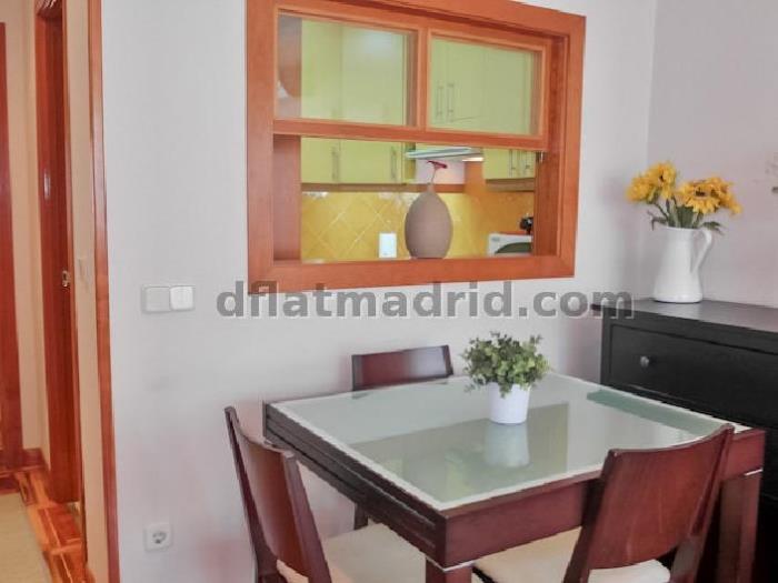 Central Apartment in Salamanca of 1 Bedroom #84 in Madrid