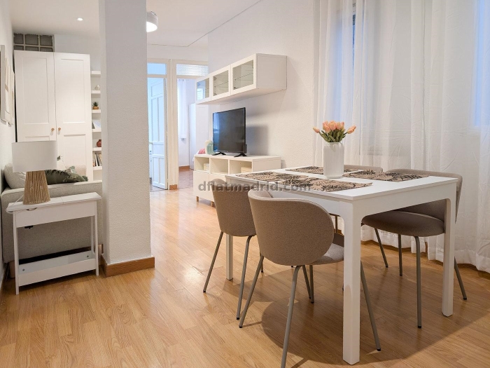 Spacious 3 Bedroom Apartment in Salamanca #123 in Madrid