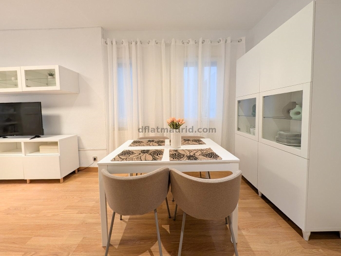 Spacious 3 Bedroom Apartment in Salamanca #123 in Madrid