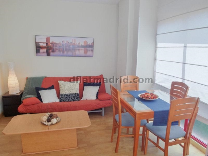 Apartamento Céntrico en Salamanca de 1 Dormitorio #142 en Madrid