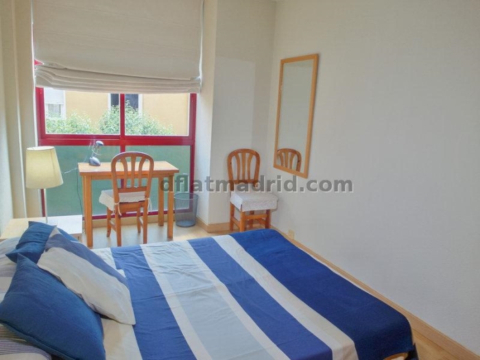 Apartamento Céntrico en Salamanca de 1 Dormitorio #142 en Madrid