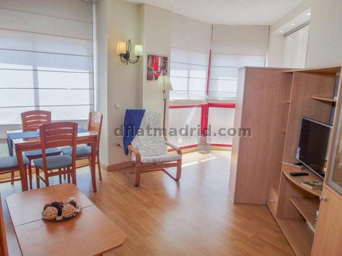 Apartamento Céntrico en Salamanca de 1 Dormitorio #142 en Madrid