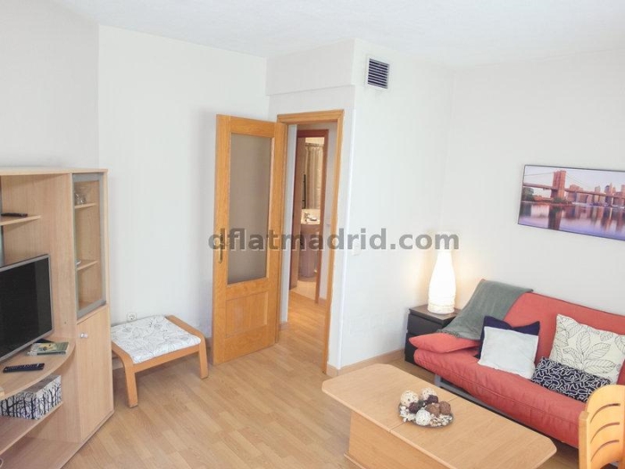 Apartamento Céntrico en Salamanca de 1 Dormitorio #142 en Madrid