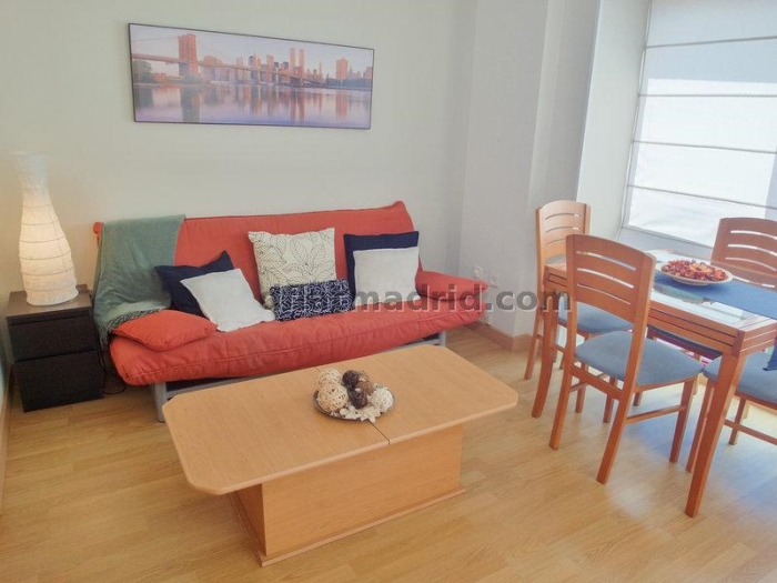 Apartamento Céntrico en Salamanca de 1 Dormitorio #142 en Madrid