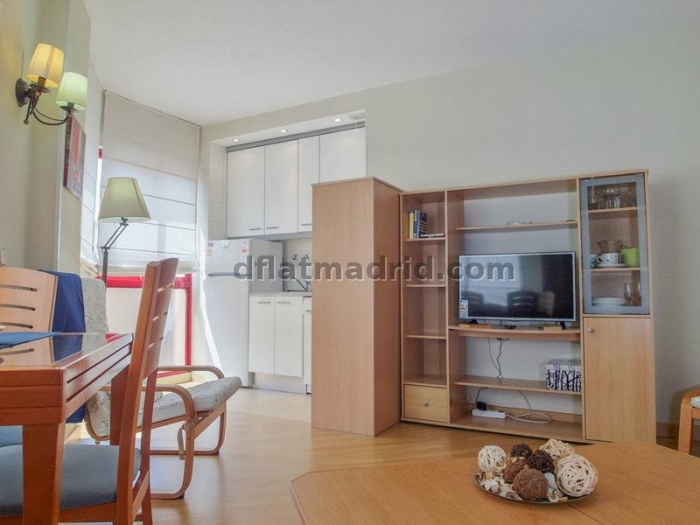 Apartamento Céntrico en Salamanca de 1 Dormitorio #142 en Madrid