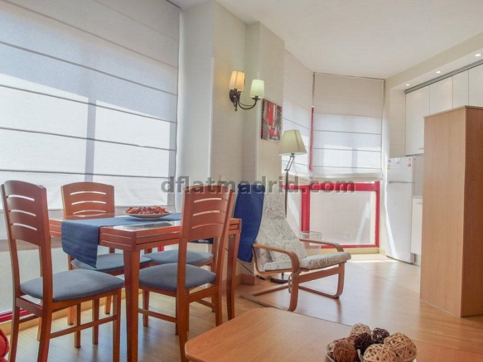 Central Apartment in Salamanca of 1 Bedroom #142 in Madrid