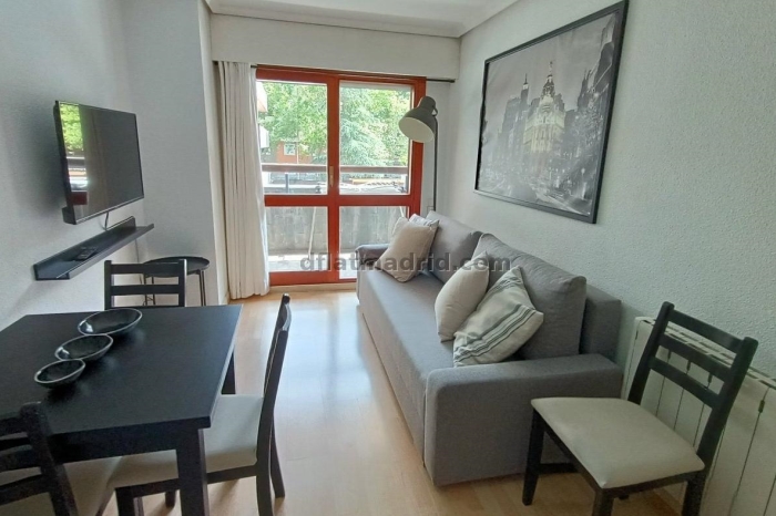 Apartamento en Chamartin de 1 Dormitorio con terraza #149 en Madrid