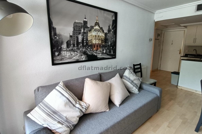 Apartment in Chamartin of 1 Bedroom with terrace #149 in Madrid