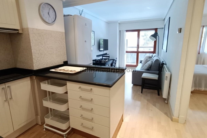 Apartamento en Chamartin de 1 Dormitorio con terraza #149 en Madrid