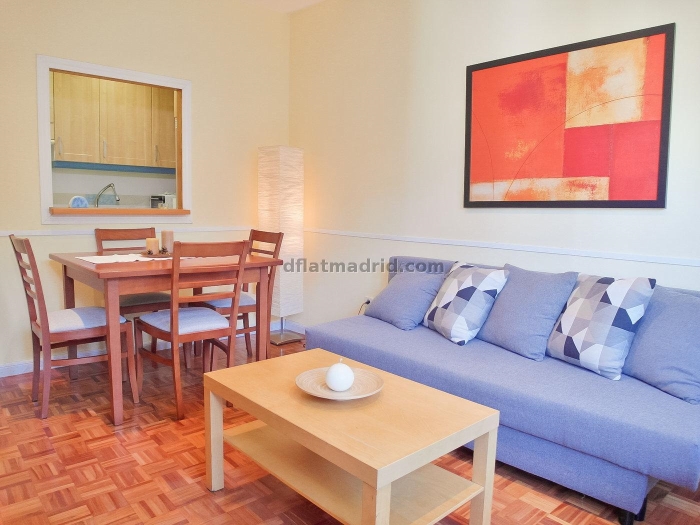 Apartamento Céntrico en Salamanca de 1 Dormitorio #150 en Madrid