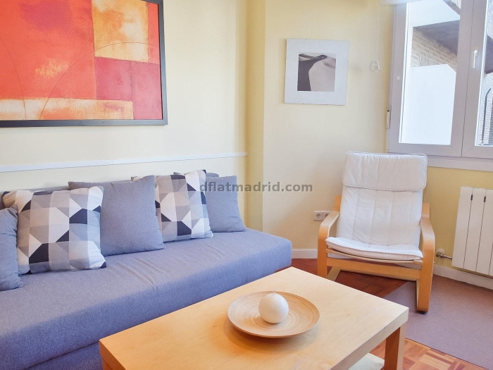 Apartamento Céntrico en Salamanca de 1 Dormitorio #150 en Madrid