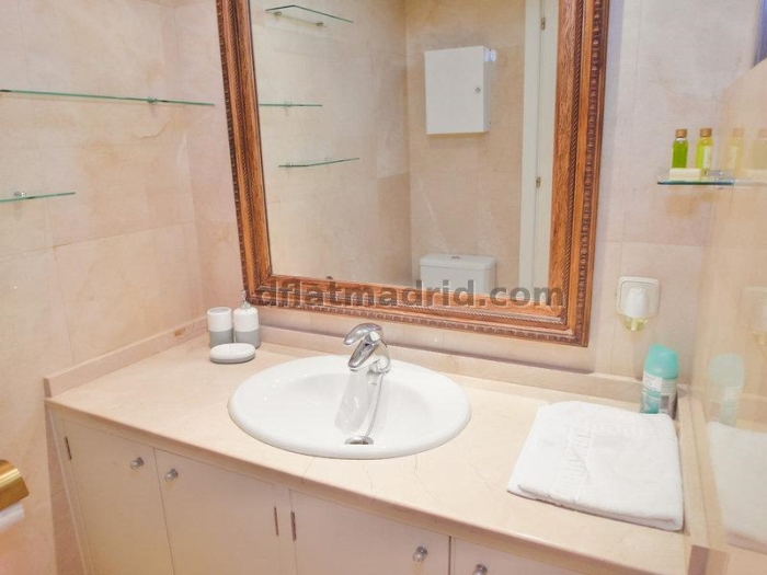 Apartamento en Chamartin de 1 Dormitorio con terraza #153 en Madrid