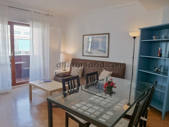 Apartamento Luminoso en Chamartin de 1 Dormitorio #163 en Madrid