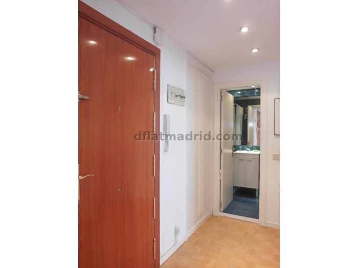 Apartamento Luminoso en Chamartin de 1 Dormitorio #163 en Madrid