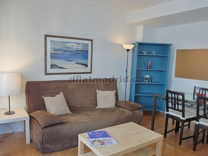 Apartamento Luminoso en Chamartin de 1 Dormitorio #163 en Madrid