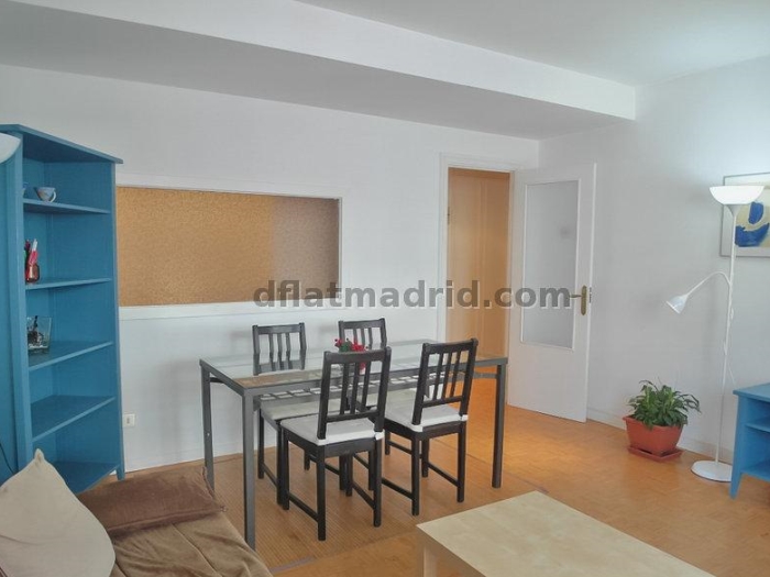 Apartamento Luminoso en Chamartin de 1 Dormitorio #163 en Madrid