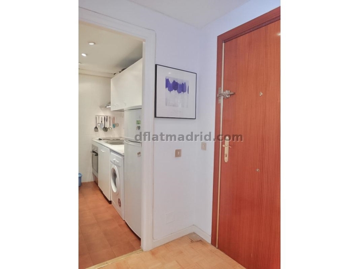 Apartamento Luminoso en Chamartin de 1 Dormitorio #163 en Madrid