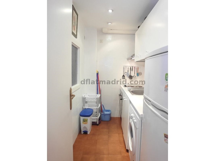 Apartamento Luminoso en Chamartin de 1 Dormitorio #163 en Madrid