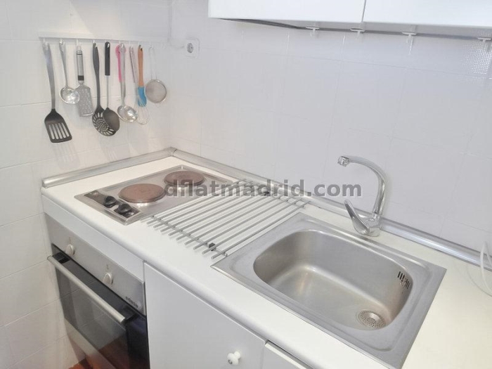 Apartamento Luminoso en Chamartin de 1 Dormitorio #163 en Madrid