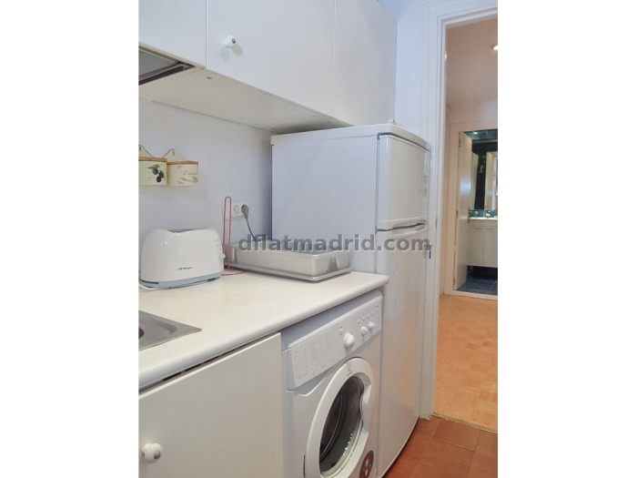 Apartamento Luminoso en Chamartin de 1 Dormitorio #163 en Madrid