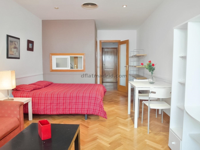 Estudio en Chamartin con terraza #167 en Madrid