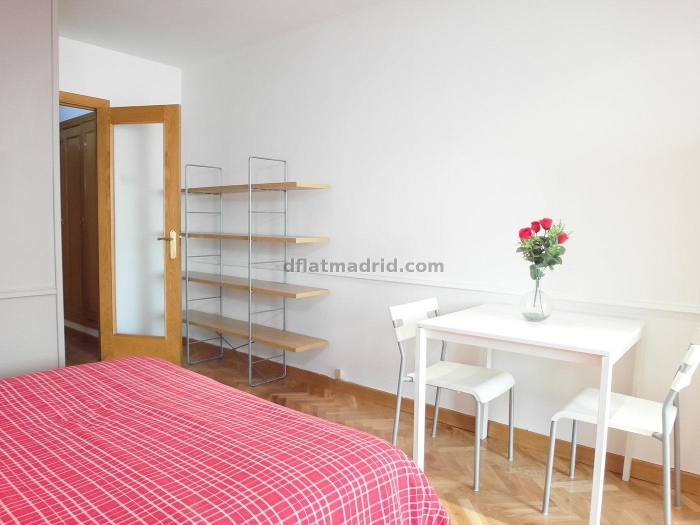 Studio in Chamartin with terrace #167 in Madrid