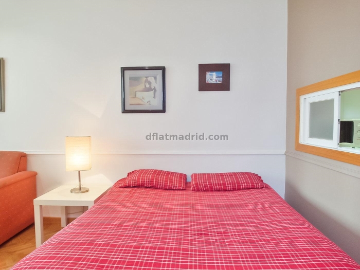 Studio in Chamartin with terrace #167 in Madrid