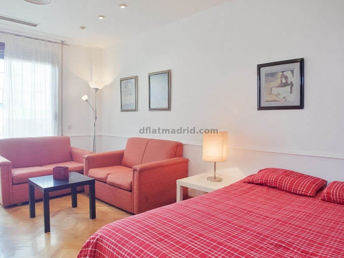 Studio in Chamartin with terrace #167 in Madrid