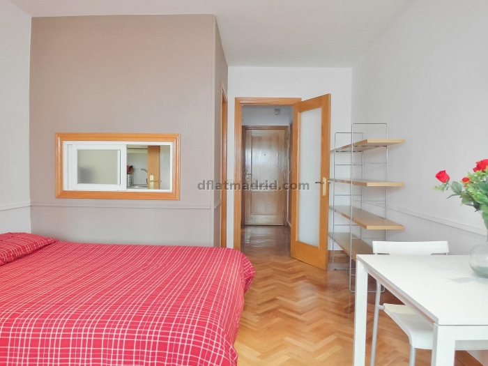 Studio in Chamartin with terrace #167 in Madrid
