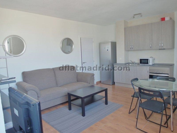 Apartamento Luminoso en Chamartin de 1 Dormitorio #188 en Madrid