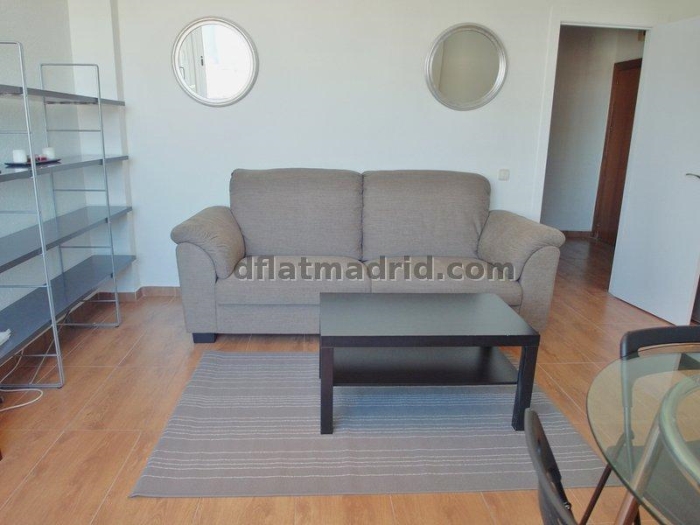 Apartamento Luminoso en Chamartin de 1 Dormitorio #188 en Madrid